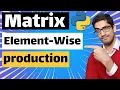 Element-Wise Matrix Multiplication in Python Numpy elementwise production