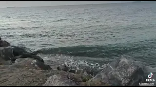 يا حبيبي قلبي مات يوم هواك عني غاب جورج الراسي و اجواء الطبيعه و البحر 