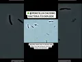 Penicillin Causing Bacteria to EXPLODE