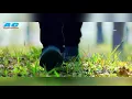 Download Lagu Duliajan new Assamese song