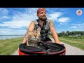 Lagu A Stray Cat Chasing A Cyclist Changed His Life