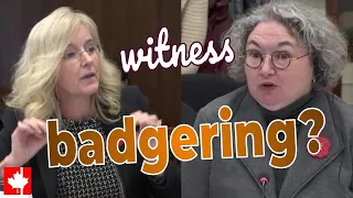 Liberals Come To The Rescue Of Evasive Bureaucrat Accuse Conservatives Of Badgering The Witness 