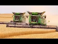 Harvesting Huge Fields During North Dakota Wheat Harvest