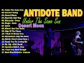 Download Lagu Best Antidote Band Playlist Nonstop Slow Rock 70s 80s | Under The Same Sun,Forever Young,Desert Moon