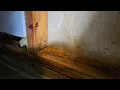 Watch THIS before after using RMR-86 Instant Mold and Mildew Stain Remover Spray