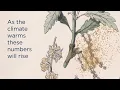 How 30 000 Detroit trees bloomed into a better way for researchers to predict airborne pollen