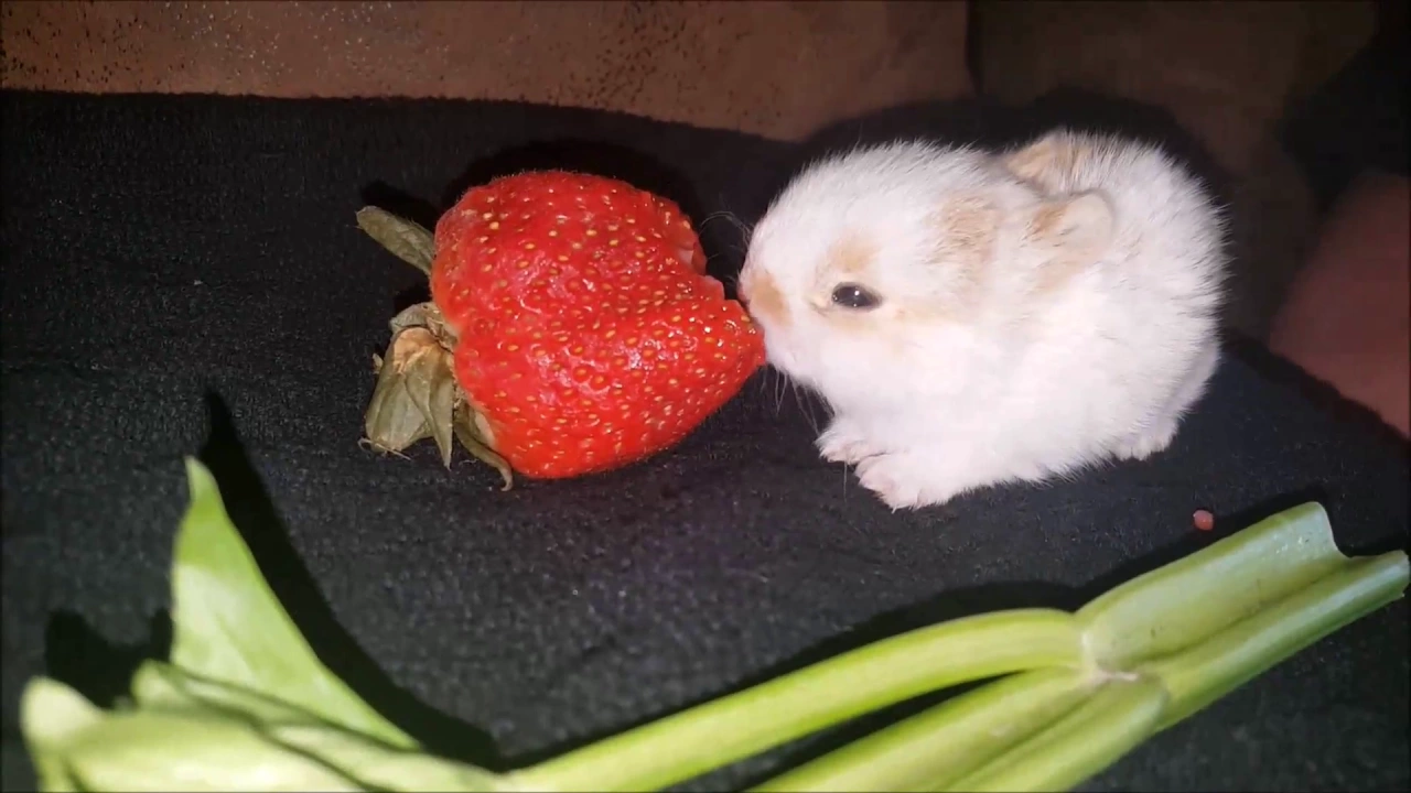 :3