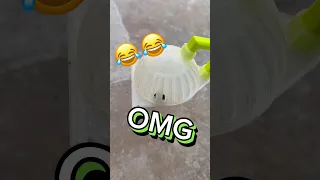 This Bug Catcher Thing actually works