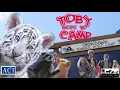 Toby Goes to Camp Toby s Big Adventure 2019 Trailer Laura Bilgeri Meredith Thomas