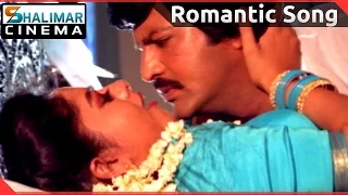 pedarayudu telugu movie ko annadoi video song mohan babu soundarya