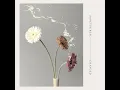 Confidence - Sanctus Real