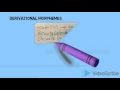 Morphology Word Structure