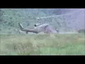 Green River - Creedence Clearwater Revival (with Vietnam Footage)