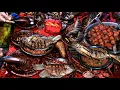 Download Lagu 2 KWINTAL IKAN LUDES SEMALAM?? PELANGGAN RELA MAKAN DI TROTOAR
