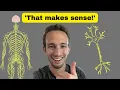 Nervous System Basics - Made EASY
