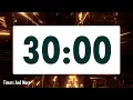 30 minute timer LOUD ALARM