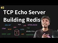Writing a Simple TCP Echo Server - Step 0 to Build Your Own Redis Redis Internals