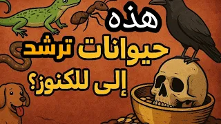 حيوانات تكشف أماكن الكنوز لن تصد ق ما حدث في هذه القصص  حيوانات تكشف أماكن الكنوز لن تصد ق ما حدث في هذه القصص