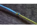Download Lagu Haken - tutorial #246: De magische knoop of weversknoop