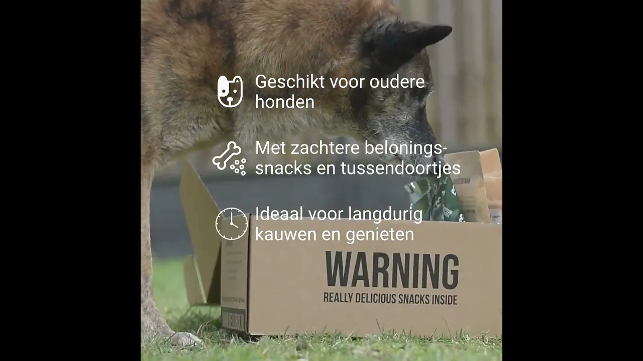 Bellobox Senior