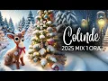 Download Lagu Colinde Traditionale 2025 🎄🎅 COLAJ 1 ORA Colinde Romanesti de Craciun 2025