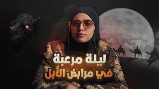 ماذا لو راح يوسف ورا أبو فانوس     دندنها
