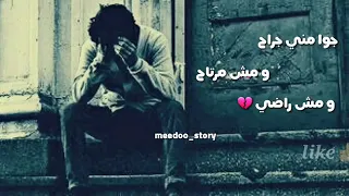 عمري ضاع علي الفاضي دندنها