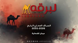 البث المباشر منافسات الحيل والزمول المفتوحة السباق المحلي الرابع ميدان الشحانية مساء 12 11 2025 