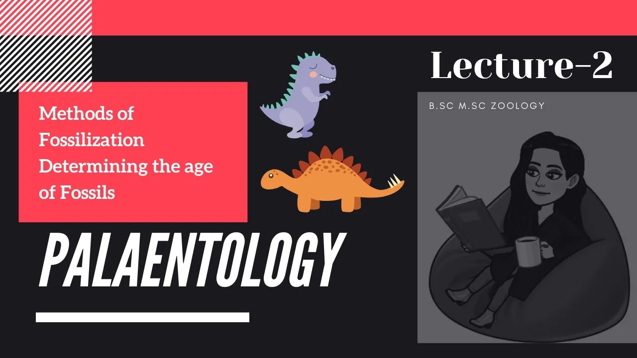 L-2 Palaeontology|Methods of Fossilization|Determining the age of Fossils|M.Sc B.Sc Zoology notes