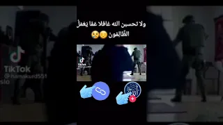 عذاب المسلمين من الكفار اليمم 