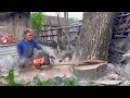 Download Lagu The last tree is the hardest… Cutdown 3 trees with strongest chainsaw ‼️