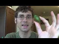 Guinep Spanish Lime or Mamoncillo Review and How to Roast its seeds - Weird Fruit Explorer Ep 34