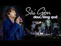 Download Lagu Sài Gòn Đau Lòng Quá - Quang Trung | Live at Lululola