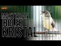 Download Lagu MASTERAN CIBLEK KRISTAL GACOR NGEBREN
