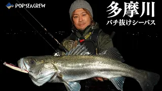 【必見】バチ抜けシーバスが釣れるポイントの選び方とは！？多摩川バチ抜けシーバス！