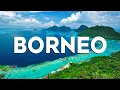 Download Lagu Top 10 Best Things to Do in Borneo [Borneo Travel Guide 2024]