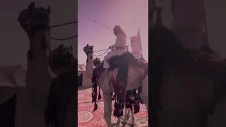 قبيلة المساعيد 