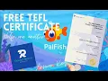 FREE TEFL CERTIFICATE TEACHER RECORD Peytligaya