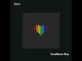 Smalltown Boy