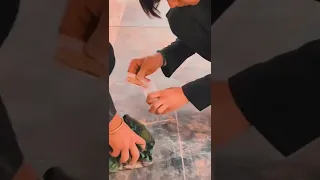 تراب المقدس   بين الحرمين دندنها