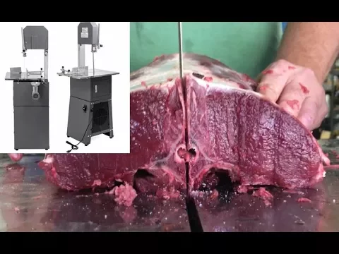 Download MP3 🔵 Guide Gear 🥩 Meat Cutting Machine or Band Saw Performance | Homeowner Grade | Teach a Man to Fish