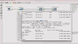 Python network automation BGP and IOS regular expressions Part 3 Live Internet BGP