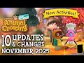 10 UPDATES CHANGES in November 2025 New Activities - Animal Crossing New Horizons