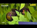 Ceeday98