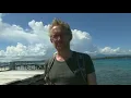 Download Lagu Revolutie in Indonesië - David Van Reybrouck zoekt de laatste getuigen