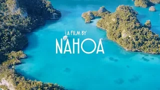 THIS is PARADISE! – Adventure 41 of Sailing Around the World