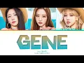 UAU GENE Lyrics (Color Coded Lyrics)