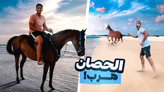 ركوب الخيل على البحر       هرب الخيل   كان بيموت       دندنها
