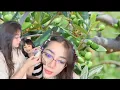 Download Lagu NAY SINI AJA...MAMA GA MAU NAY TINGGAL...🥰♥️♥️