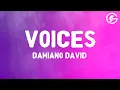 Download Lagu Damiano David - Voices (lyrics)